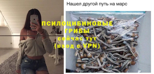 скорость Алексин