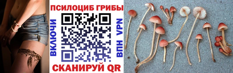 как найти   Жуковка  Псилоцибиновые грибы ЛСД 